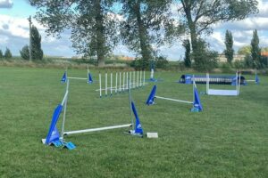 Favoriet Agility Equipment