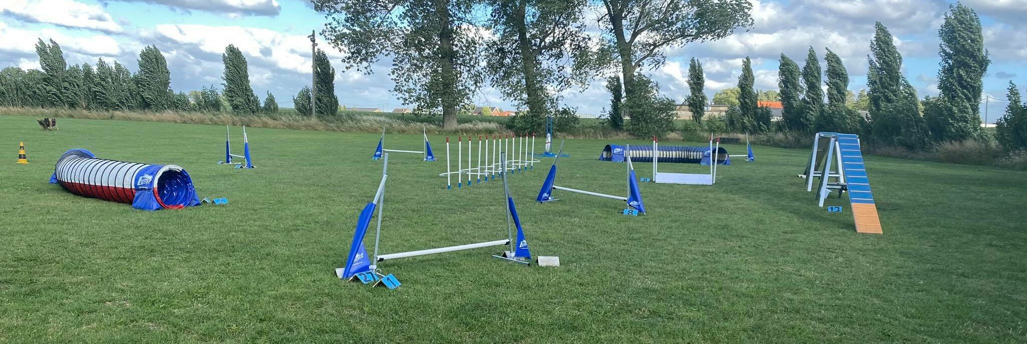 Ochtend getuige woordenboek Favoriet Agility Equipment – 4ADOGZ – uw dierenspeciaalzaak